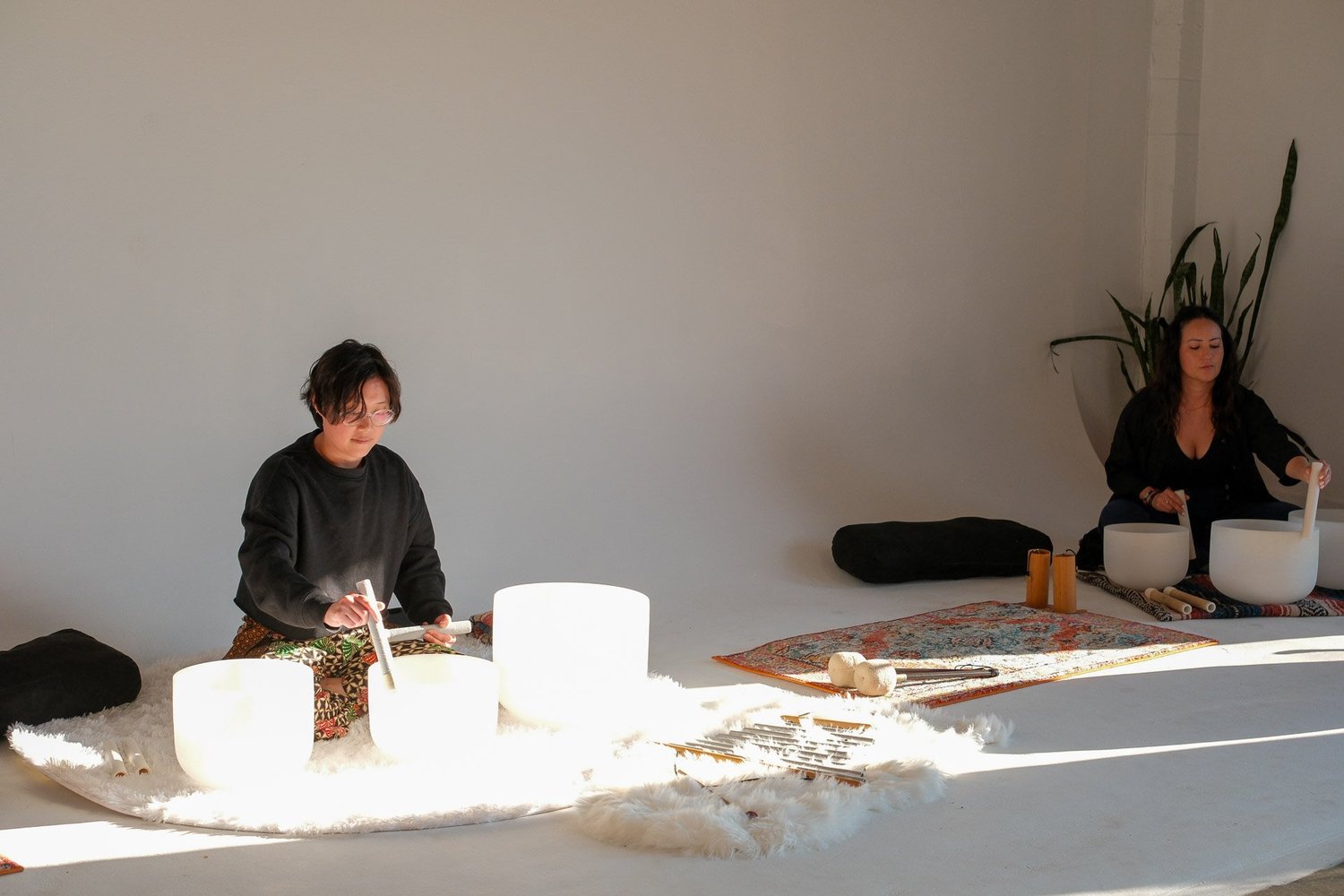 In Practice: Sound Day Retreat for Practitioners